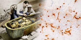 Científicos explican por qué murieron los primeros en entrar en la tumba de Tutankamón