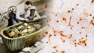 Científicos explican por qué murieron los primeros en entrar en la tumba de Tutankamón